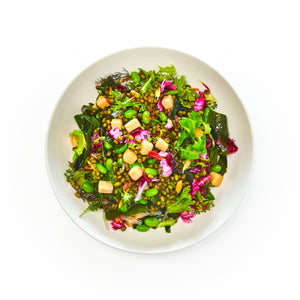 Shelled Edamame Beans