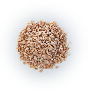 British Pearled Spelt Wheat (Farro Grande)