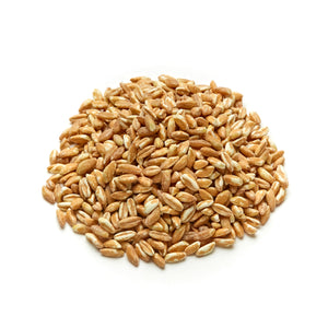 Farro Grain