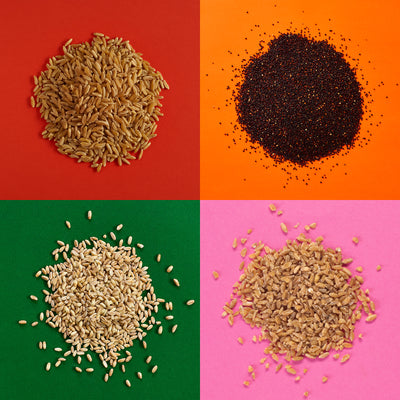 Wholesale Grains, Pulses, Rice & Pasta