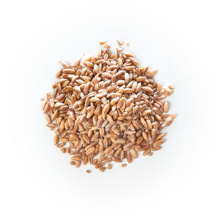 British Wholegrain Emmer (Farro Medio)