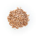 Wholegrain Emmer Wheat  (Farro Medio)