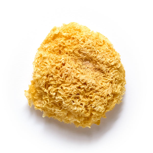 Dried White Fungus