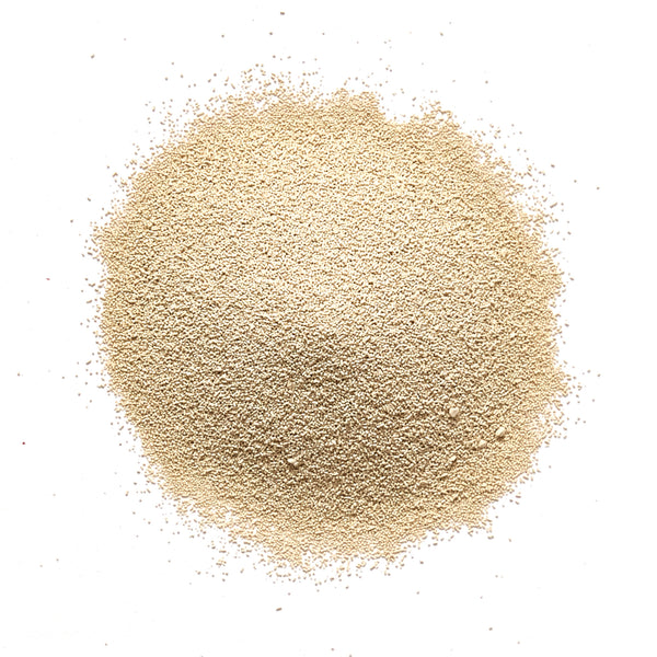 Quick Yeast