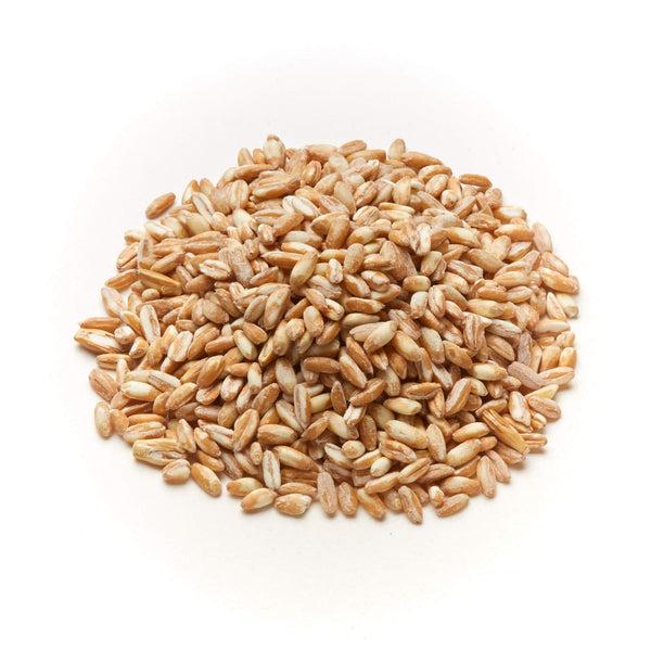 Pearled Spelt Grain