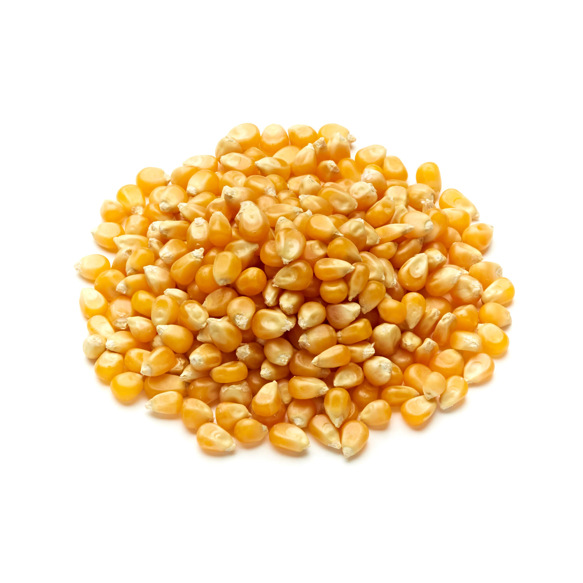 Popcorn Kernels – Vegetarian Express